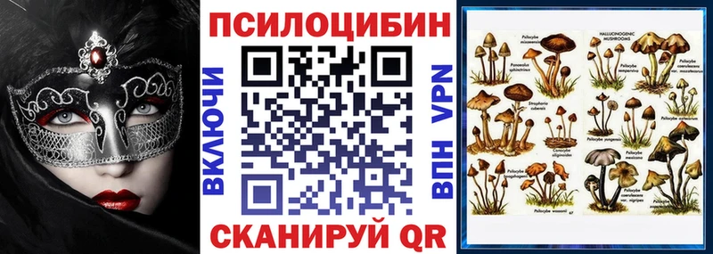 Галлюциногенные грибы MAGIC MUSHROOMS  Бирюсинск 